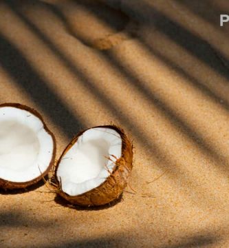 Aceite de coco orgánico